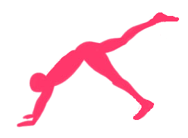 https://www.livingyourbestlife101.com (Well Fit Yoga Fusion Workouts logo)